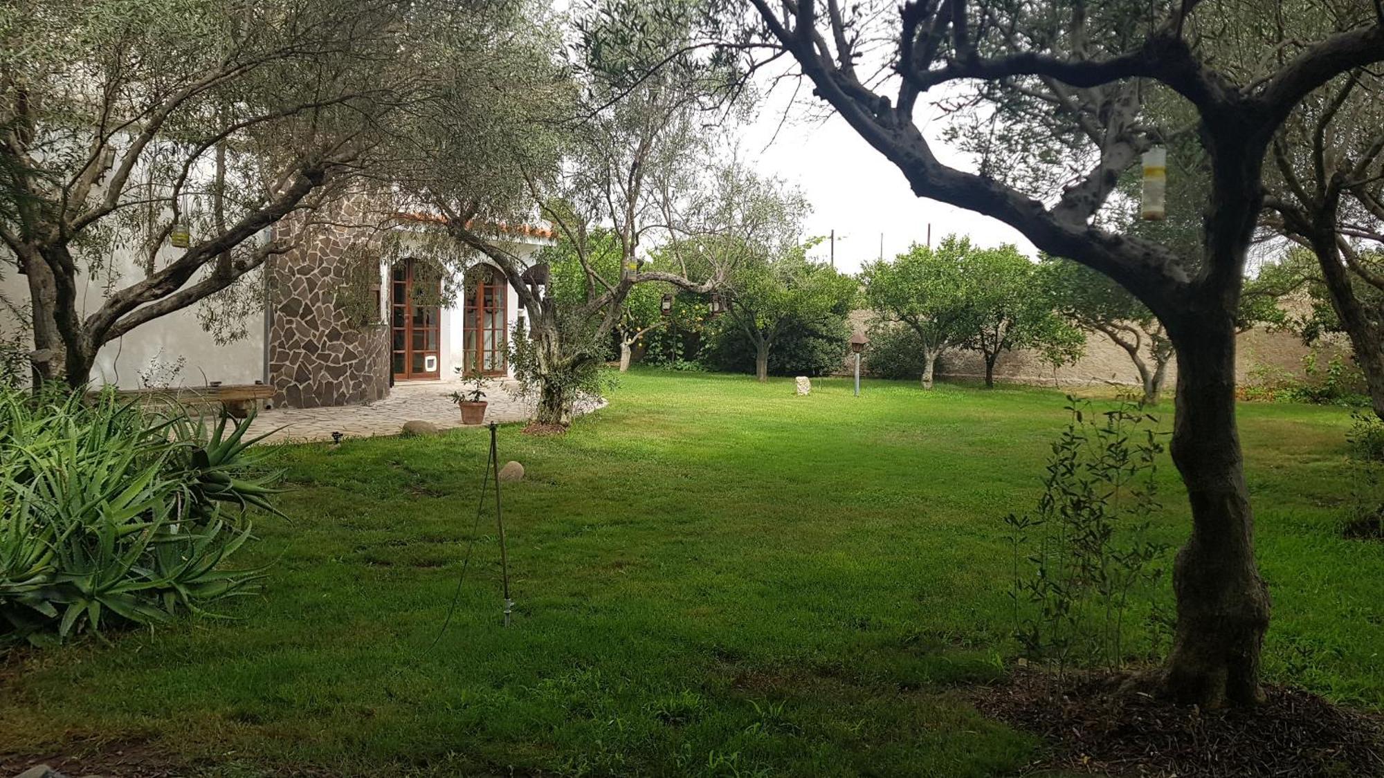 Il Giardino Di Frafa Apartment Quartu Sant'Elena Bagian luar foto