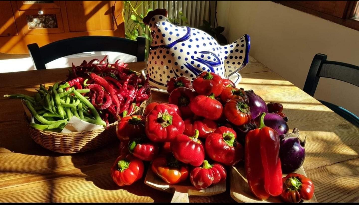 Il Giardino Di Frafa Apartment Quartu Sant'Elena Bagian luar foto